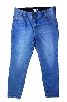 Arula Womens Size 20 Skinny Jeans Stretch Denim High Rise Medium Wash