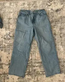 Abercrombie Jeans Baggy Curve Love Low-Rise