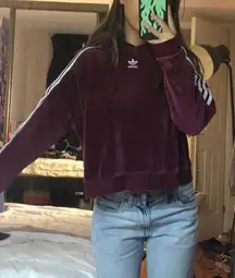 Velvet maroon crop  hoodie