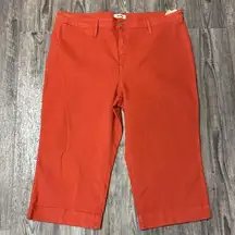 Madewell Slim Emmett Wide-Leg Crop Pants Plus Size  37P NEW Orange/Rust Pockets