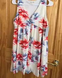 Lizard Thicket Floral Dress