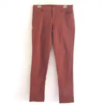 Willi Smith Jeans 27 Skinny Earth Tones Rust Orange Cotton