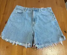 Everlane Light Blue Jean Shorts