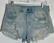 Distressed Hi-Rise Festival Jean Shorts