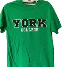 York College of Pennsylvania Gildan Heavy Cotton Tee Shirt, Small