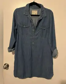 Girl Krazy Classic Denim Dress