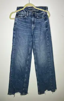 American Eagle Outfitters High Rise Baggy Wide Leg Jeans