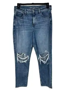 American Eagle SZ 10 Mom Jeans Strigid Distressed Rips Hi-Rise Zip-Fly Pockets