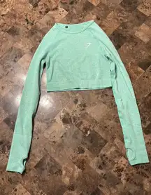 Long Sleeve Mint Cropped Gym Shark Shirt  