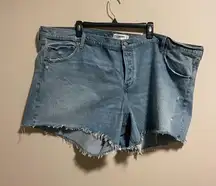 NEW ABERCROMBIE & FITCH 90s Baggy Raw Hem Low Rise Shorts- Plus Size 24 (37)