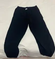 Aritzia Cozy Sweatfleece Fleece Mega Sweatpants