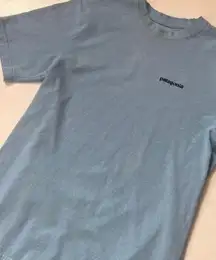 Patagonia shirt