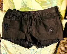NEW  Black Jean shorts Distressed Frayed 27