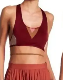 One x One Teaspoon Mayflower Bralette With Mesh Accent‎ in Merlot