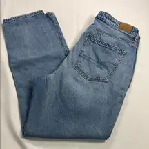 American‎ Eagle Outfitters Boyfriend Blue Jeans Classic Fit