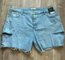 NWT Abercrombie & Fitch 7” Dad Shorts Curve Love High Rise Plus Sz 36/22