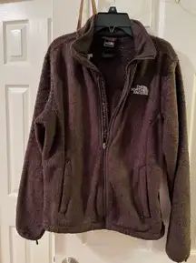 Brown North Face Size Small