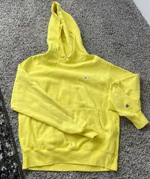 Reverse Weave Hoodie