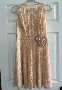 Miss Sixty‎ M60 Pale Peach Lace Dress Size 8