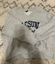 PacSun Sweatshirt Oversized