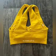Alphalete amplify sports bra