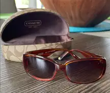 Coach Gerry S731A Amber Horn Sunglasses