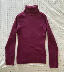 Purple Ribbed Turtleneck