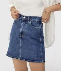 Everlane The Way-High Denim Skirt