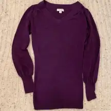 Liz Lange Maternity purple sweater, size small