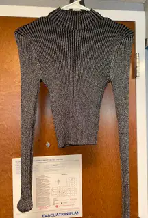 Sparkly Long Sleeve Shirt