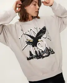 Nasty Gal Illinois Eagle Graphic Overdyed Sweatshirt Women’s 12/14