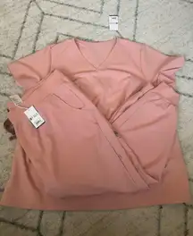 Figs NWT Pink Sand Scrub Set Size 5XL HW Zamora Joggers & 4XL Catarina Top Read