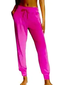 Victoria’s Secret Pink Berry Velour Jogger Pants size XS