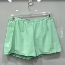 Dri Fit Women's Teal Blue Tennis Workout Skort Sz Large