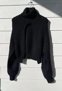 Alexander Wang Backless Turtle Neck Sweater