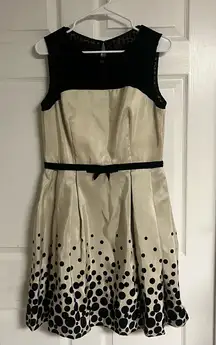 Taylor Dress with Polka Dots and Mesh Top - Size 10