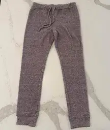 Express One Eleven Cozy Chenille Leggings Womens Medium Joggers Fuzzy Loungewear