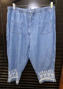 EUC Carolina Plus Blues embroidery bottom jeans. Size 18 W