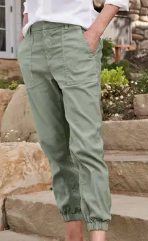 Frank & Eileen Jameson Sage Green Italian Performance Linen Pants | Size 6