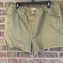 Sonoma Olive Green Cargo Shorts