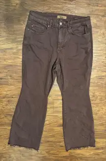 Judy Blue Espresso Brown High Waisted Raw Hem Flare Tummy Control Jeans 16W