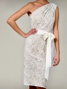 Tadashi Shoji One Shoulder Textured Embroidered Sheath Dress Sz 6💛