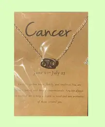 cancer zodiac sign necklace 