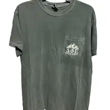 Delta Phi Epsilon Sorority University Greek Life Comfort Colors Tee Shirt, Med