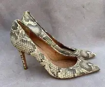 Coach  size 7 heels pumps snakeskin print