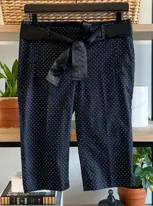 Ann Taylor Mid-Rise Woven Career Dress Capri Bermuda Trouser, 2P