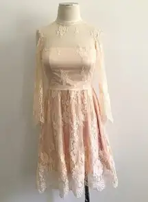 Lace Sheer Formal Dress