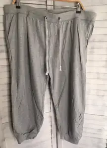 Gray Joggers, 3X