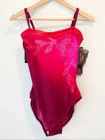 NWT Roxanne Swimwear Bra Sized Pink Ombre Swimsuit 14 D Cup