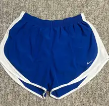 Dri-Fit Shorts